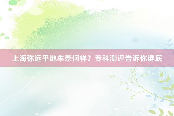 上海弥远平地车奈何样？专科测评告诉你谜底